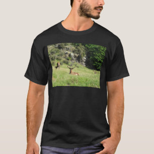 New Zealand Stags T-Shirt