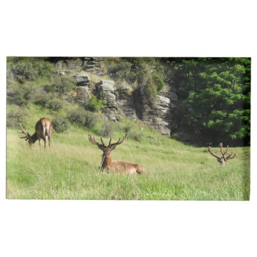 New Zealand Stags Table Card Holder
