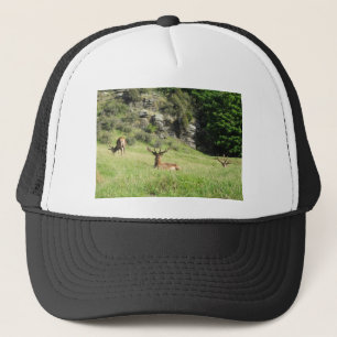 New Zealand Stags Trucker Hat