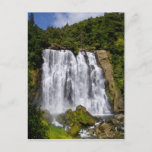 New Zealand Waterfall Postcard