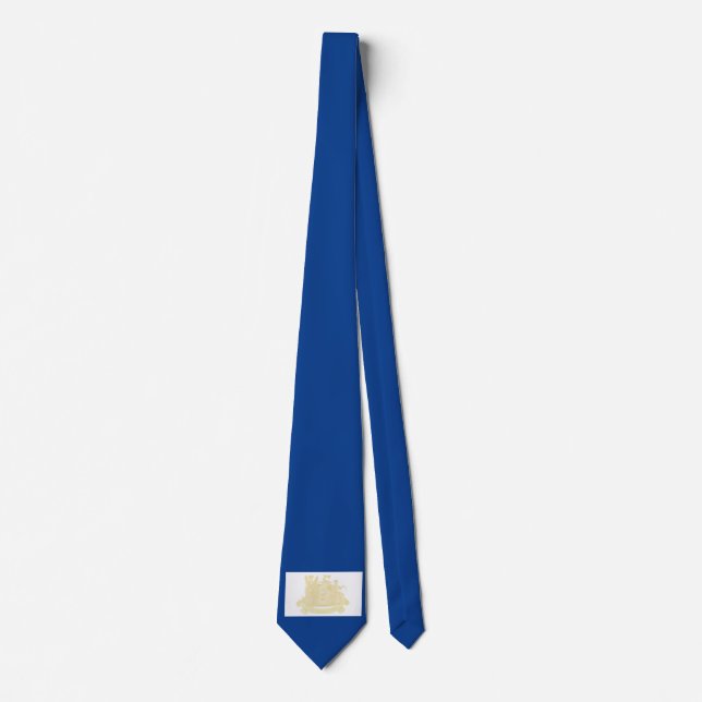 Newark (New Jersey) City Flag Neck Tie (Front)