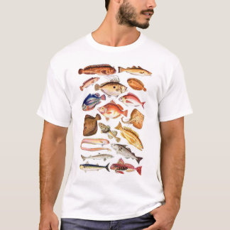 newartsweb - So Many Fish, So Little Time T-Shirt