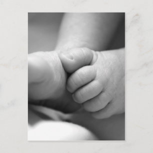 newborn babies feet postcard