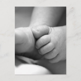 newborn babies feet postcard