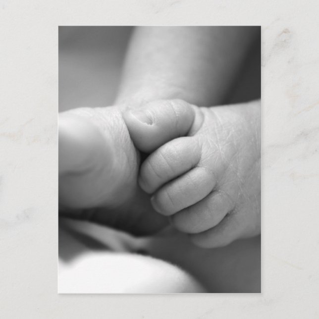 newborn babies feet postcard (Front)
