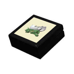 Newborn Dragon Gift Box