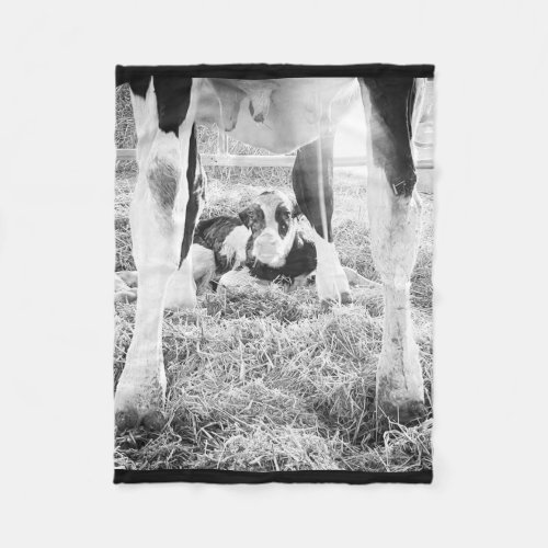 Newborn Holstein Calf Fleece Blanket