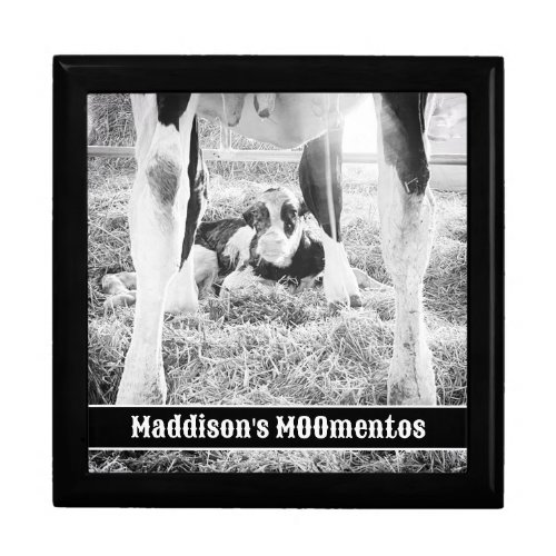 Newborn Holstein Calf MOOmentos Gift Box