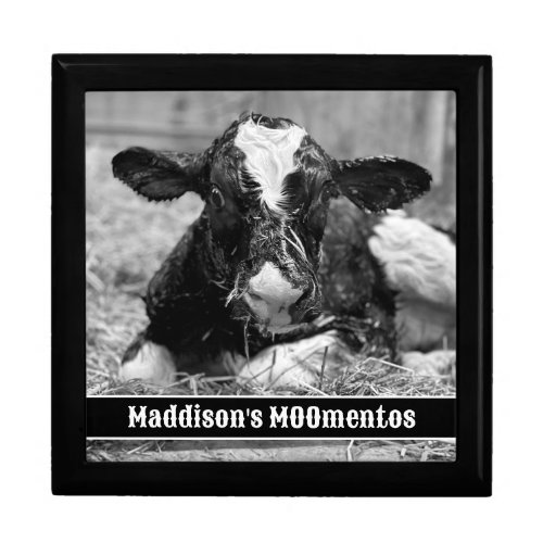 Newborn Holstein Calf MOOmentos Gift Box