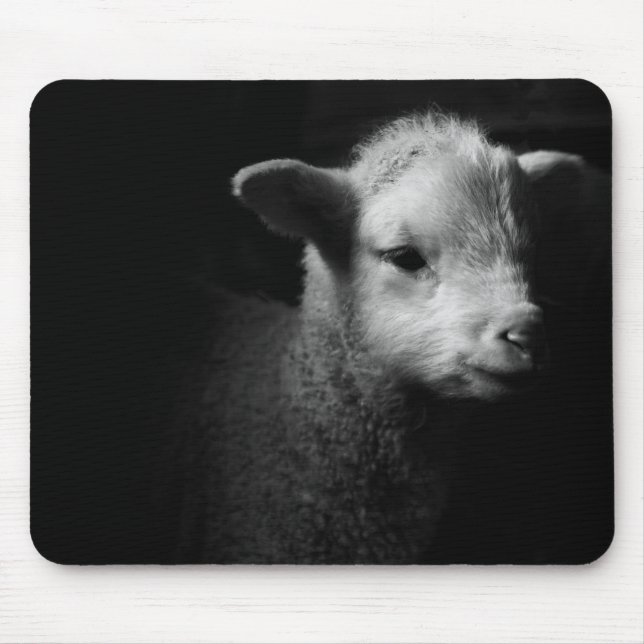 Newborn Lamb Mouse Pad (Front)