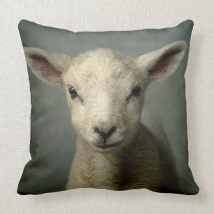Newborn Lamb Throw Pillow