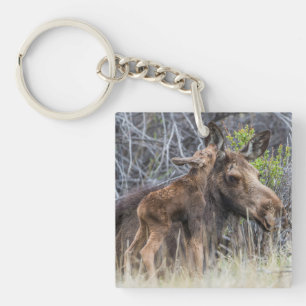 Newborn Moose Calf Nuzzling its Mother Keychain
