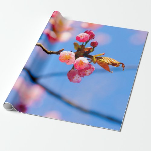 Newborn Sakura Flowers And Blue Sky Of Spring Wrapping Paper