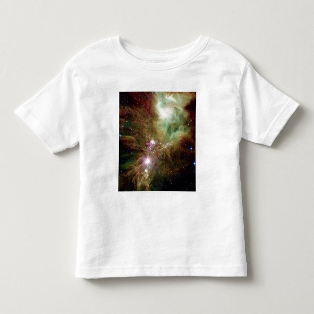 Newborn stars in the Christmas Tree cluster Toddler T-shirt (Front)