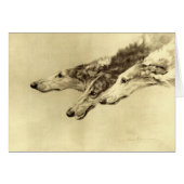 Newcastle Borzoi (Front Horizontal)