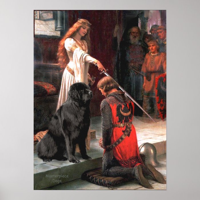 Newfie 1   The Accolade Print