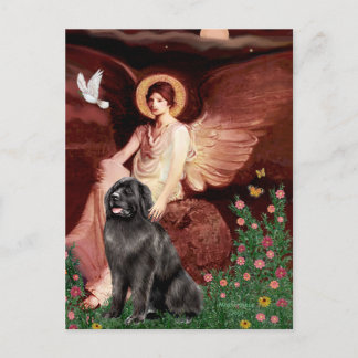 Newfie 2 - Seated Angel Postcard