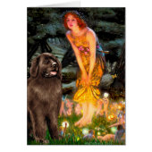 Newfie (brown) - MidEve (Front)