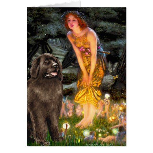 Newfie (brown) - MidEve Cards (Front)