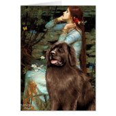 Newfie (brown) - Ophelia Seated (Front)
