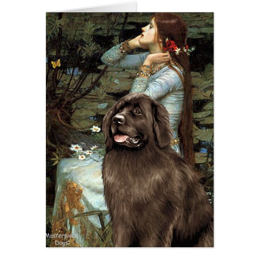 Newfie (brown) - Ophelia Seated (Front)