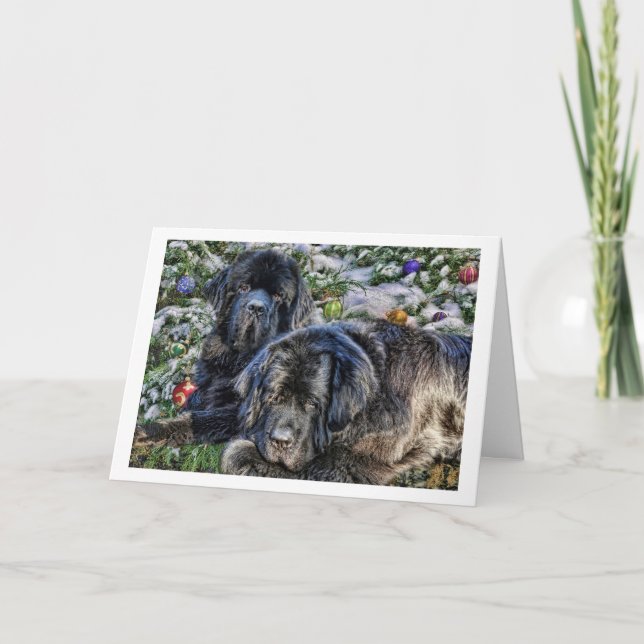 Newfie Holiday Wishes Card (Front)