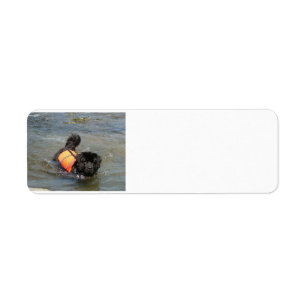 newfie in water.png label