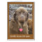 Newfie kisses for you...