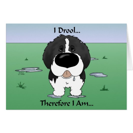 Newfie (Landseer) - I Drool (Front Horizontal)