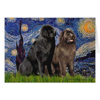 Newfie Pair - Starry Night Cards