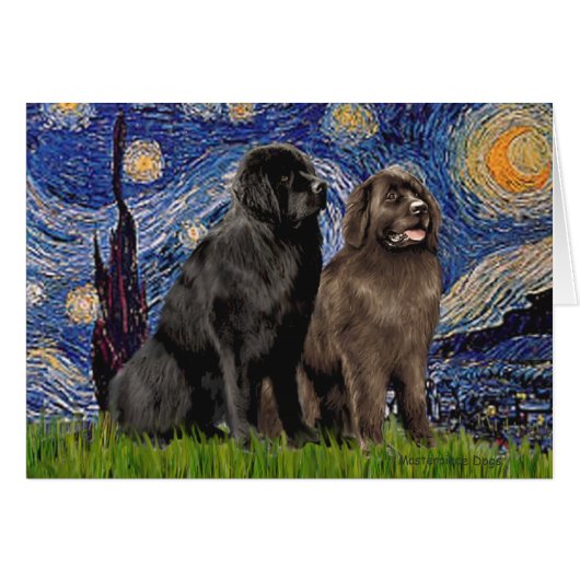 Newfie Pair - Starry Night Cards (Front Horizontal)