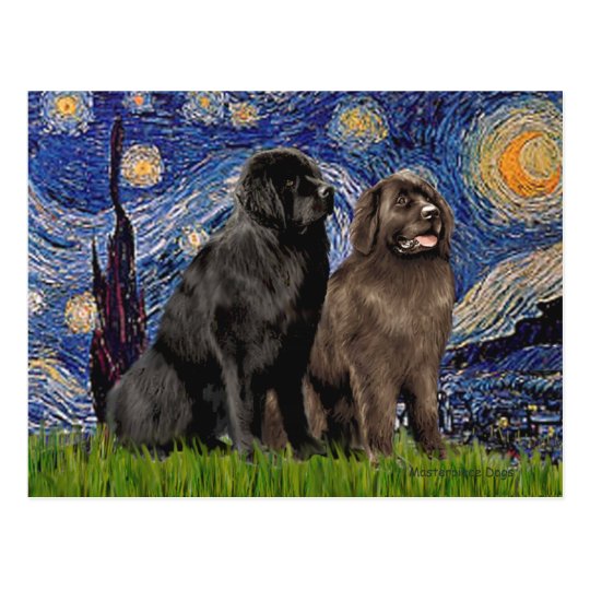 Newfie Pair - Starry Night Postcard