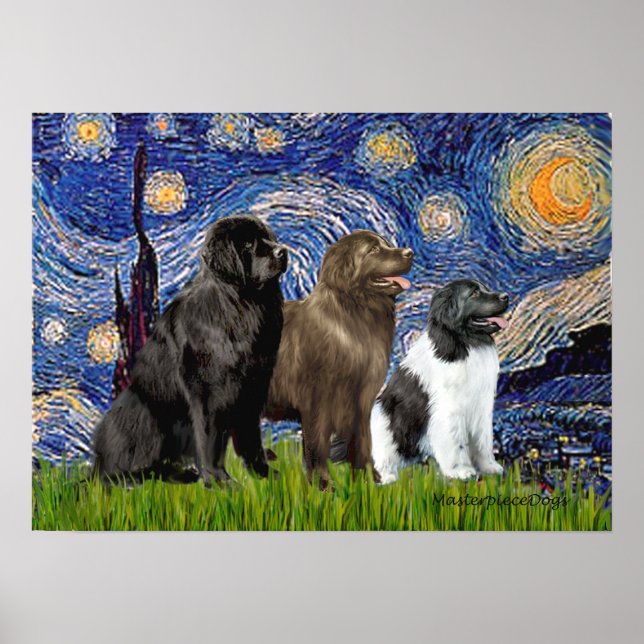 Newfie Trio - Starry Night Poster (Front)