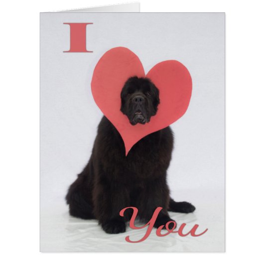 Newfie Valentine Cards (Front)