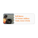 Newfie Water Rescue  Mailing Label