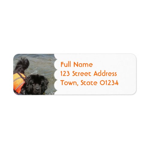 Newfie Water Rescue  Mailing Label