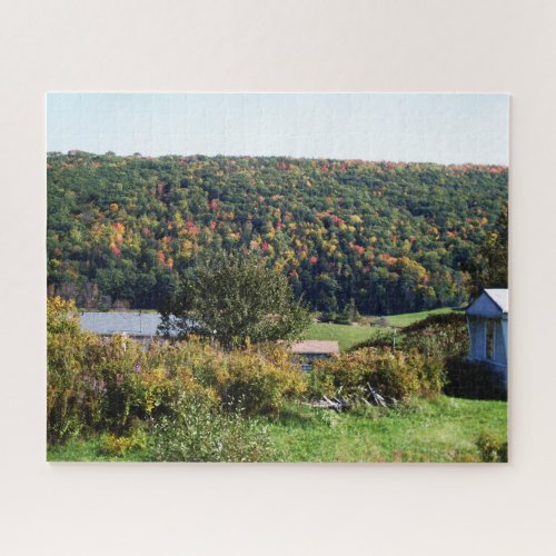 NEWFIELD NEW YORK jigsaw puzzle