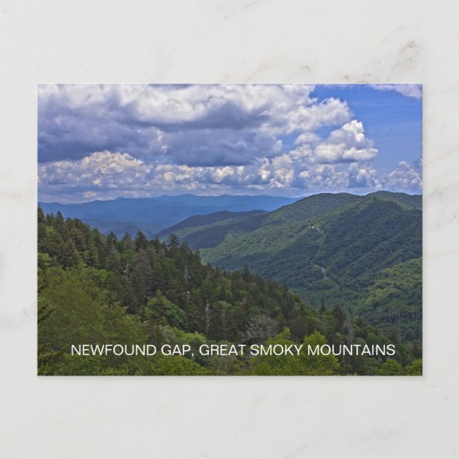 Newfound Gap, Great Smoky Mountains National Park Postcard (Front)