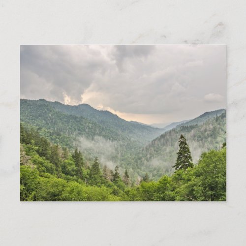 Newfound Gap Great Smoky Mountains National Park Postcard