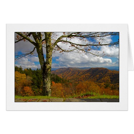Newfound Gap Overlook Cards (Front Horizontal)