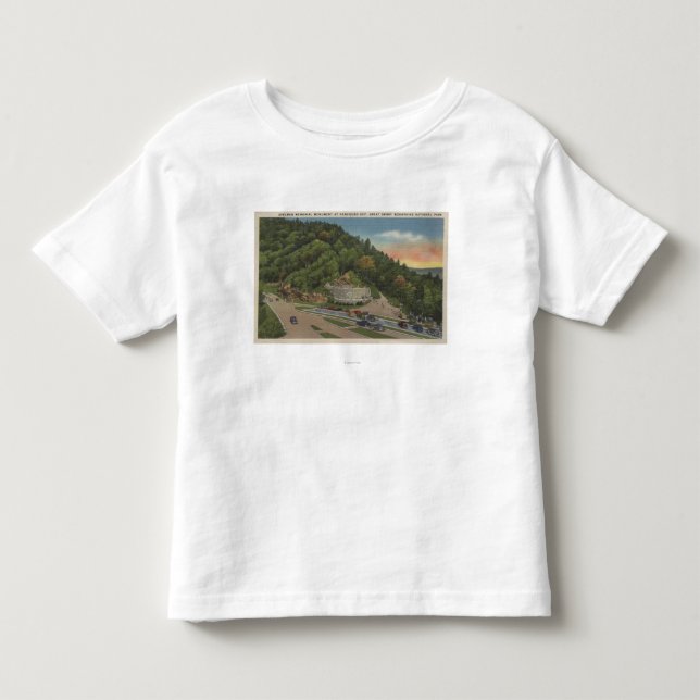 Newfound Gap, TN - Laura Spelman Memorial Toddler T-shirt (Front)