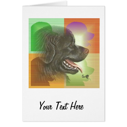 Newfoundland (Front)