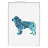 Newfoundland (Front)