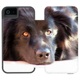 newfoundland-3 wallet case for iPhone SE/5/5s