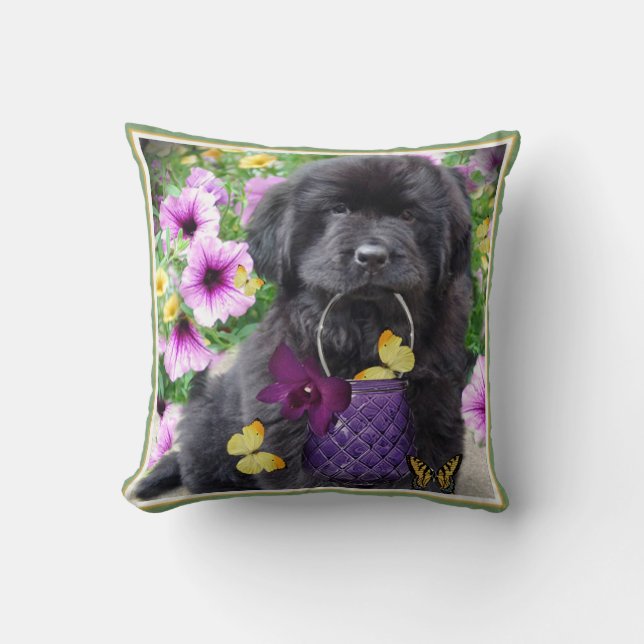 Newfoundland a Sunny Day Pillow (Front)