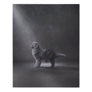 Newfoundland ballerina (black and white) faux canvas print