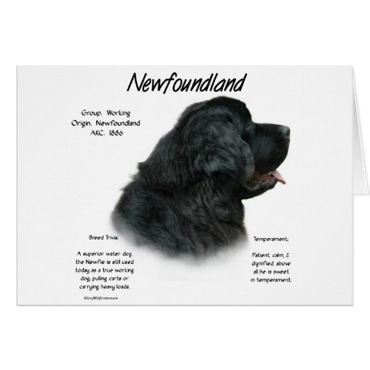 Newfoundland (Black) History Design Cards (Front Horizontal)