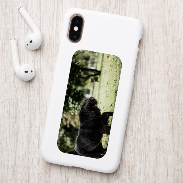 newfoundland black in motion patch (On Phone Back)