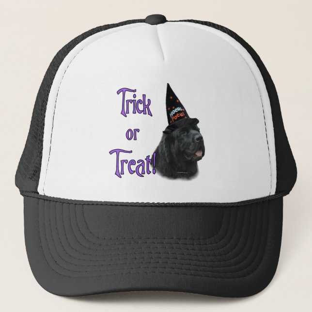 Newfoundland (black) Trick Trucker Hat (Front)