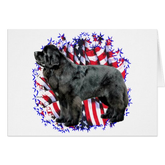 Newfoundland (blk) Patriot Cards (Front Horizontal)